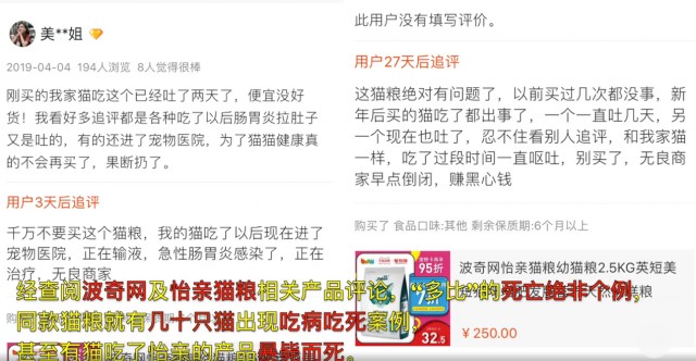 猫狗吃毒粮后病死一直被骂的不该是主人